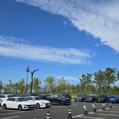 고속도로 놀라워요