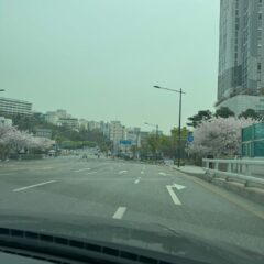 초보자도 편하게! 첫 고속도로