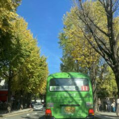 차선을 넘기지 않는 주차